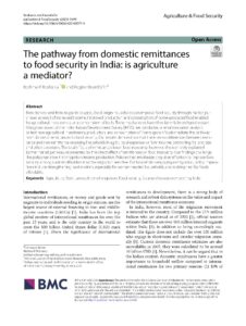 The pathway from domestic remittances to food security in India: is agriculture a mediator?