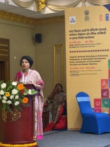 Dr Pallavi Choudhuri served as a panelist at the Capacity Building Workshop on Monitoring Frameworks of SDGs, Environment Accounts, and Gender Statistics